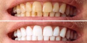 WhatsApp Image 2025-08-31 at 20.46.41